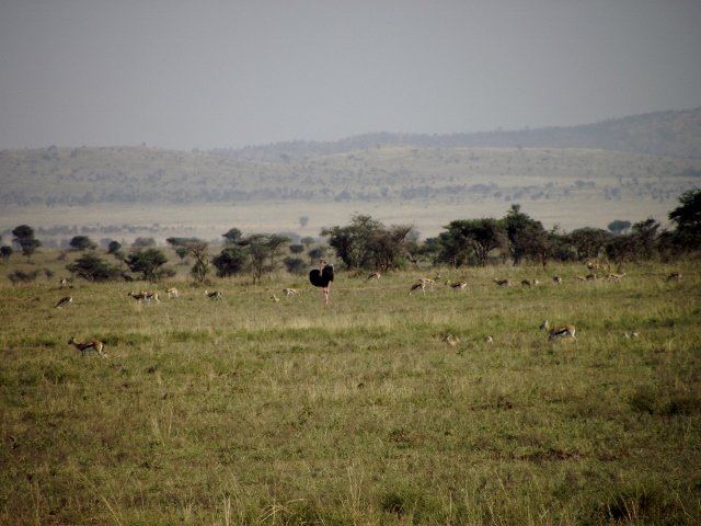 Tanzania 271
